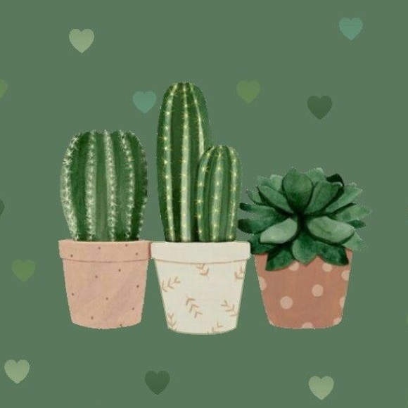 Profile Picture of Kayla Otey (@kellogs13) on Poshmark