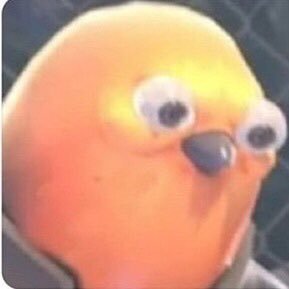 Profile Picture of Connor Clarkson (@ConnorC07165215) on Twitter