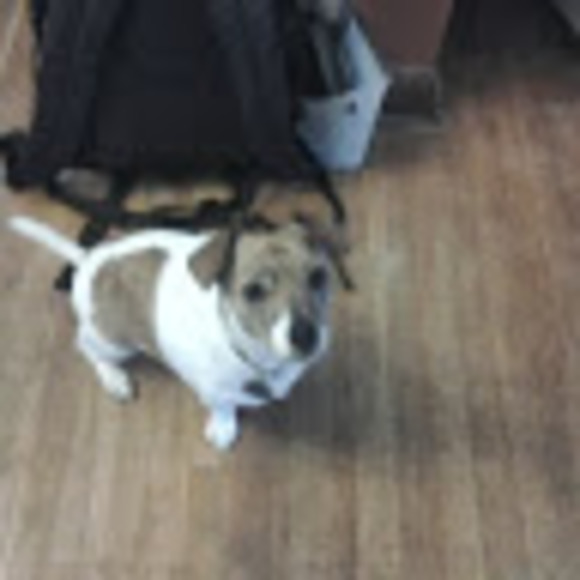 Profile Picture of Eli Shaw (@elids02) on Poshmark