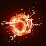 Profile Picture of Shawn Carney (@atomicorchards) on Instagram