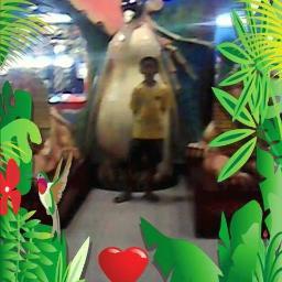 Profile Picture of Kevinryans (@KelvinAnis) on Twitter