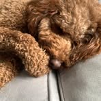 Profile Picture of Patrick Coyer (@patrick.coyer) on Facebook