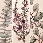 Profile Picture of Jesse Oxley (@jesseoxley22) on Instagram