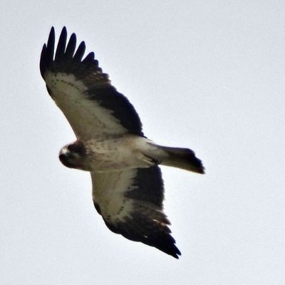 Profile Picture of Tom Beker (@bekerproperty) on Twitter