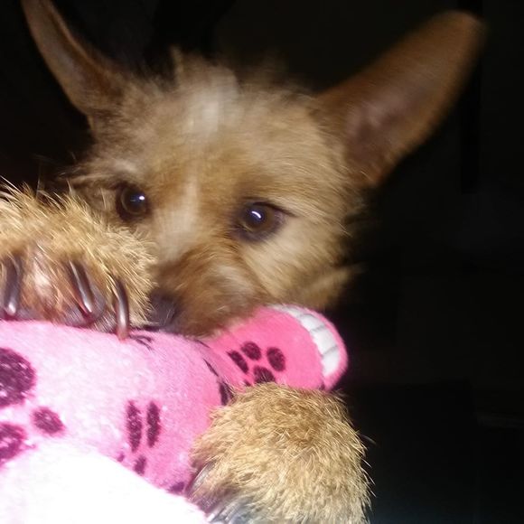 Profile Picture of Tabitha Nelson (@tabithanelson) on Poshmark