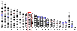 Profile Photo of Vesicular monoamine transporter 2on Wikipedia