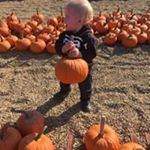 Profile Picture of Billy Covert (@billc7744) on Instagram