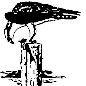 Profile Picture of Derek Julian (@camelbirder) on Youtube