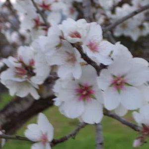 Profile Picture of Ruth Matutes (@279441274) on Myspace