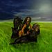 Profile Picture of Davida Gaddy (@davidagaddy) on Pinterest