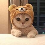 Profile Picture of María José Bobadilla (@jose.lalalala) on Instagram