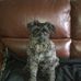 Profile Picture of Daniel Seyer (@daniel.seyer.10297) on Facebook