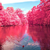 Profile Picture of Daniela Dubos (@MaxGamingMAX) on Youtube