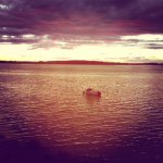 Profile Picture of Adam Fullerton (@adamseaf) on Instagram
