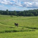 Profile Picture of Jesse Brackett (@jesse.brackett.77) on Facebook