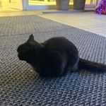 Profile Picture of 黃承胤 (@edward_huang_0831) on Instagram