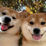 Profile Picture of David Milius Pangestu (@david897g) on Instagram