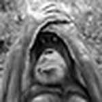 Profile Picture of Andrew Frost (@bambata686) on Flickr