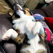 Profile Picture of Leonard Chapman (@leonardchapman4669) on Youtube