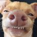 Profile Picture of Thomas Dose (@thdose85) on Pinterest