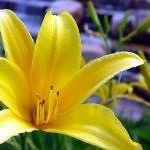 Profile Picture of Beverly Fish (@beverly.fish.1840) on Facebook