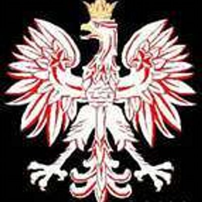 Profile Picture of Patrick Ringwelski (@pmringwelski) on Twitter