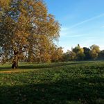 Profile Picture of Tim, Chris & Eloise (@historiccastlephotography) on Instagram