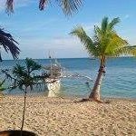 Profile Picture of Ann Stevenson (@acerannie01) on Instagram