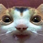 Profile Picture of Mellow Michael (@mellowmichael123) on Tiktok
