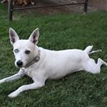 Profile Picture of Kim Hardison (@xkim620) on Instagram