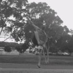 Profile Picture of Sean Crook (@seans_football_) on Instagram