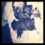 David Nason - Instagram Profile Picture of David Nason (@stompar) on Instagram