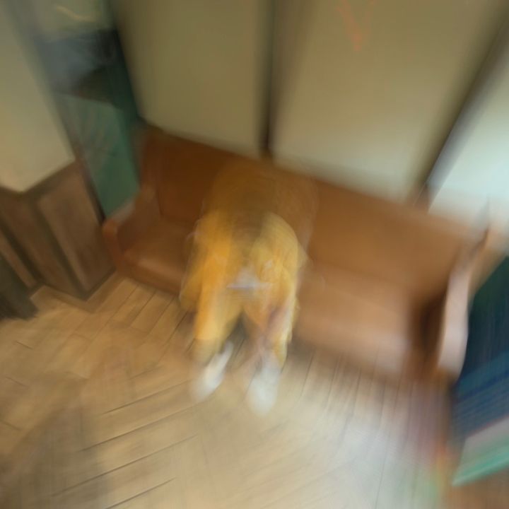 Profile Picture of TQ🤟🏾🎶👀 (@trevorquest7) on Tiktok