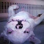 Profile Picture of David Horáček (@dawka.bigboss) on Instagram