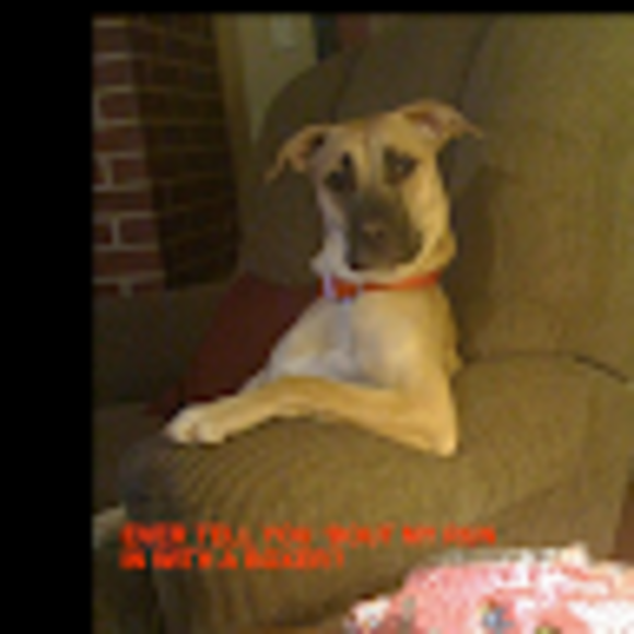 Profile Picture of Anka Enescu (@ankaenescu) on Poshmark