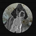 Michael Smits - Instagram Profile Picture of Michael Smits (@vacafoeda) on Instagram