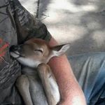 Profile Picture of Travis Bingham (@travis_fireman) on Instagram