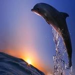 Profile Picture of Heather Dawn Fife (@heatherdawnfife) on Instagram