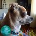 Profile Picture of Randy Strom (@randy.strom.77) on Facebook