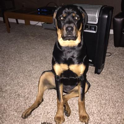 Profile Picture of Brian Odom (@brianodom414) on Twitter