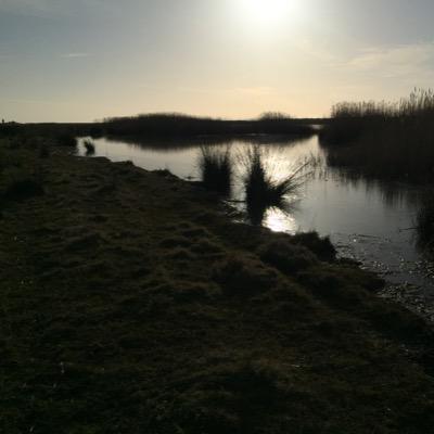 Profile Picture of Michael Köhne (@foamimk) on Twitter