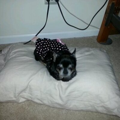 Profile Picture of Sherrie Capps (@CappsSherrie) on Twitter