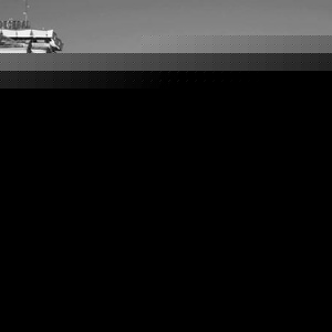 Profile Picture of Catalin Curelaru (@298966700) on Myspace