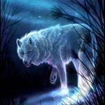 Profile Picture of Arina_cat (@arinaveli777) on Instagram