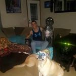 Profile Picture of Scott Gentley (@gentleyscott) on Instagram