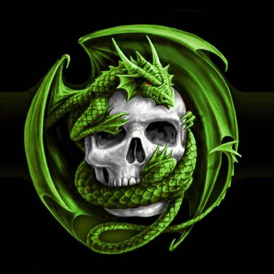 Profile Picture of Dylan Whitfield (@dwhit_1998) on Twitter