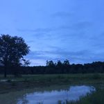 Dawn Durant - Instagram Profile Picture of Dawn Durant (@dawn_durant) on Instagram