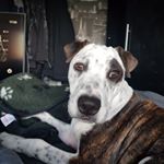 Profile Picture of Mark Ditchburn (@ditchy2011) on Instagram