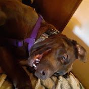 Profile Picture of Haley Rogers (@haleyrogers2947) on Youtube