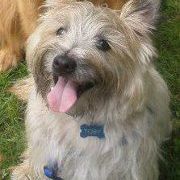 Profile Picture of Quinn Morris (@quinnmarie12) on Pinterest